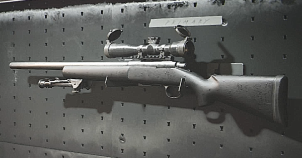 Which Sniper Rifle is Best? Stats & Best Setups! (Cold War Gun