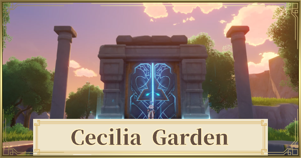 How to solve the courtyard garden puzzle in Another Code: Recollection