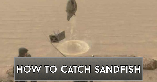 NieR Replicant | How to Catch and Use Sandfish - GameWith