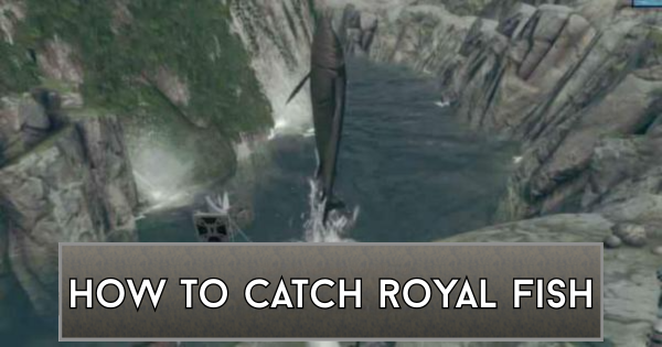 NieR Replicant | How to Catch and Use Royal Fish - GameWith
