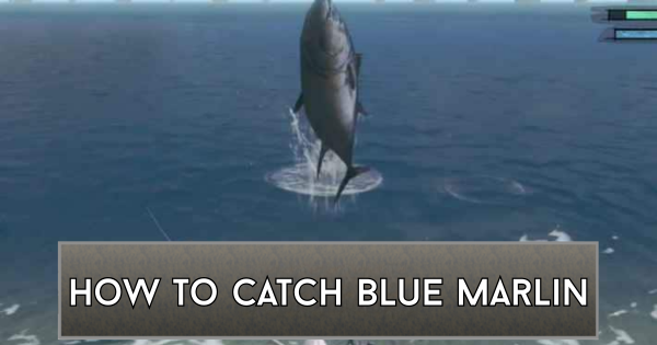 NieR Replicant | How to Catch and Use Blue Marlin - GameWith