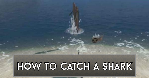 NieR Replicant | How to Catch and Use Sharks - GameWith