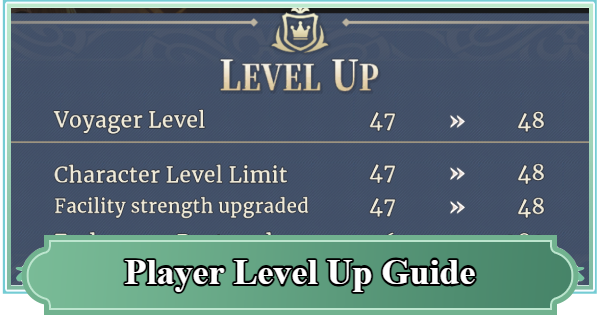 Player Level Up Guide - How To Gain Voyager EXP Fast | Sword of Convallaria - GameWith
