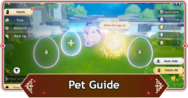 Pet Guide - How to Train and Obtain