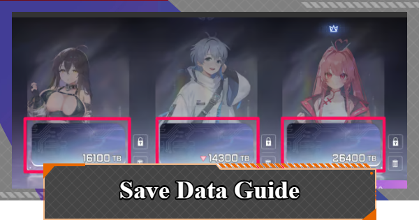 How to Use Save Data