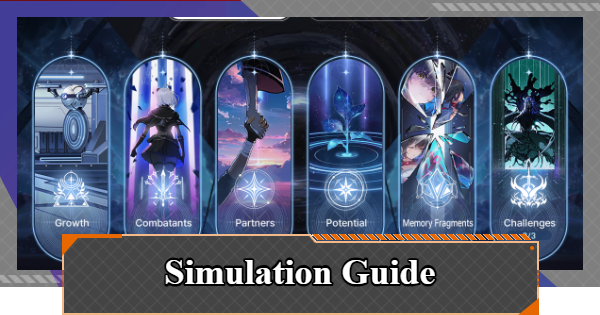 Simulation Guide