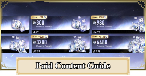 Paid Content Guide