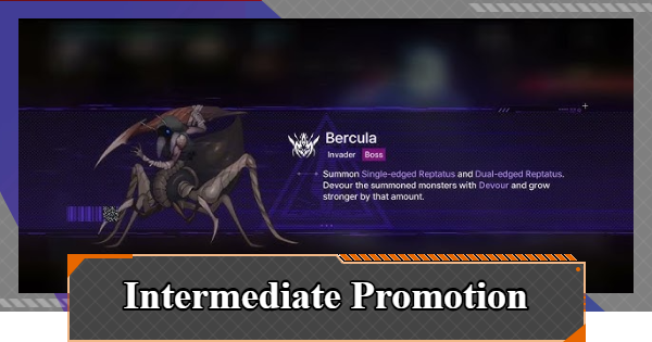 Intermediate Promotion Exam Walkthrough