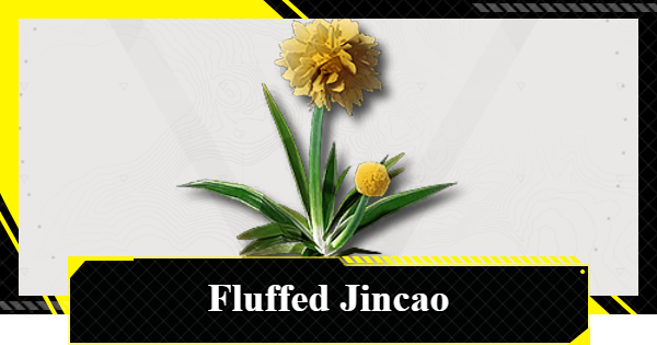 How to Get Fluffed Jincao | Arknights: Endfield - GameWith