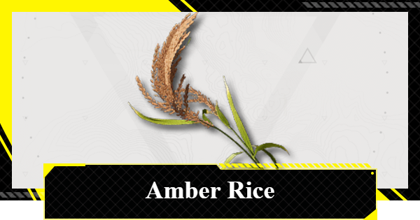How to Get Amber Rice | Arknights: Endfield - GameWith