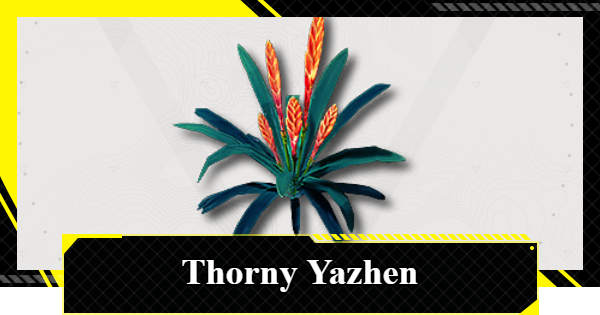 How to Get Thorny Yazhen | Arknights: Endfield - GameWith