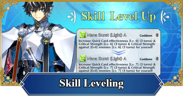 FGO (NA) | How to Level Up Skills and Enhancement Priority | Fate/Grand Order (English) - GameWith