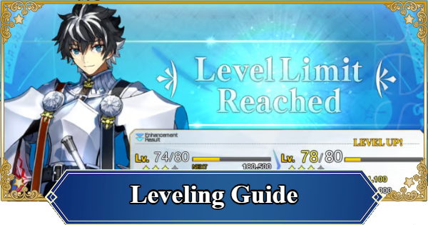 FGO (NA) | Leveling Guide for Servants & Craft Essences | Fate/Grand Order (English) - GameWith