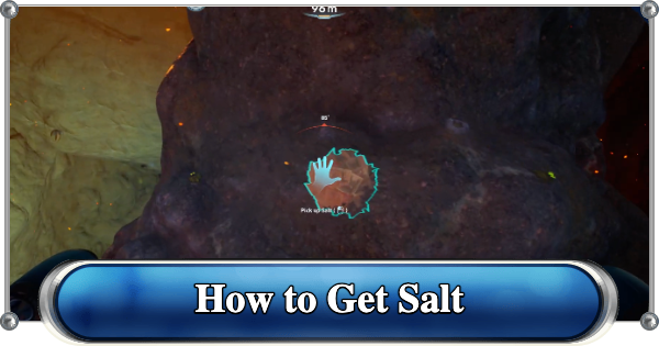 Subnautica 2 | How to Get Salt & Location - GameWith