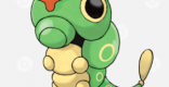 Caterpie - Evolution Chart & Location