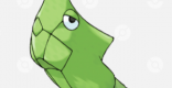 Metapod - Location & Evolution Level
