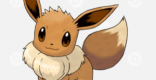 Eevee - Evolution & Egg Group