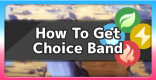 Choice Band - How To Get & Location