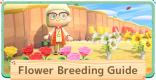 ACNH | Hyacinth Breeding Guide - How To Get All Color Variations ...