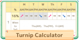 Turnip Calculator - Price Prediction Tool
