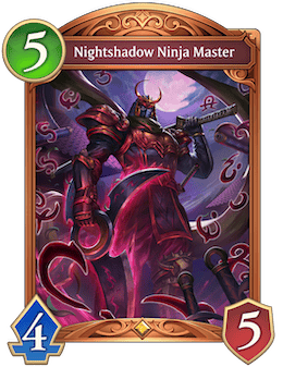 Nightshadow Ninja Master