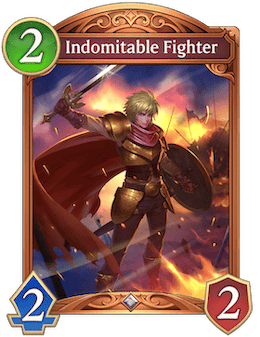 Indomitable Fighter