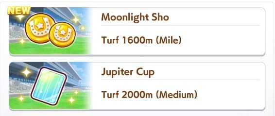 Daily Race