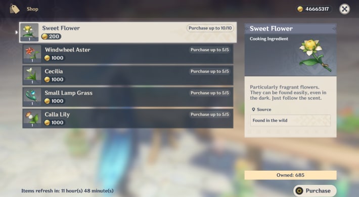 Purchase From NPCs