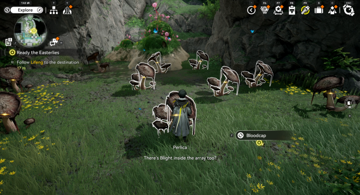 Arknights Endfield Bloodcap in Wuling