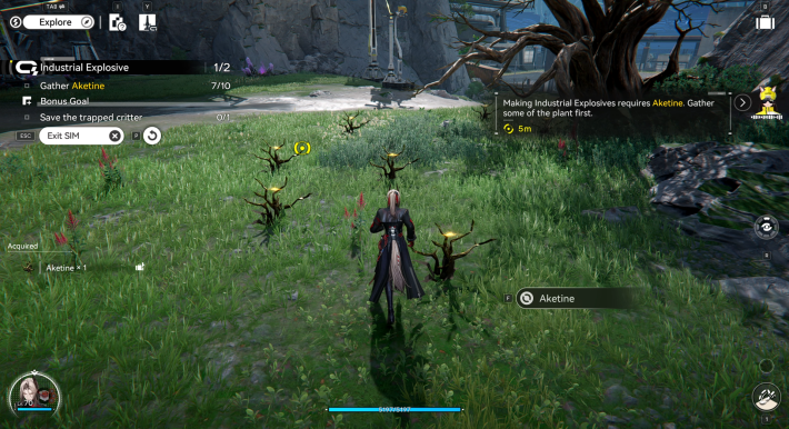 Arknights Endfield Gathering Aketine