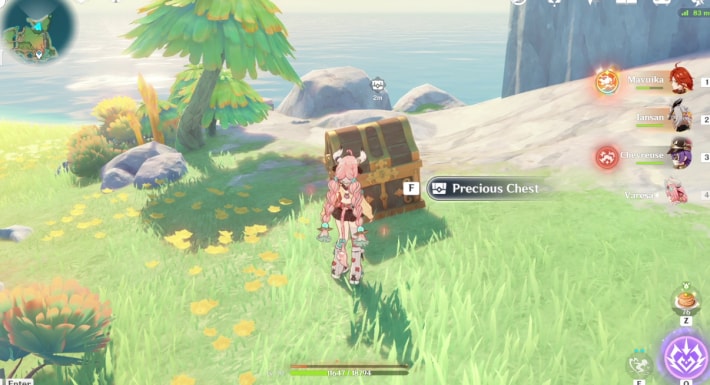 Dreamy Paitit Chest Loc