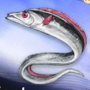 Duet Night Abyss (DNA) - Silverslip Variant