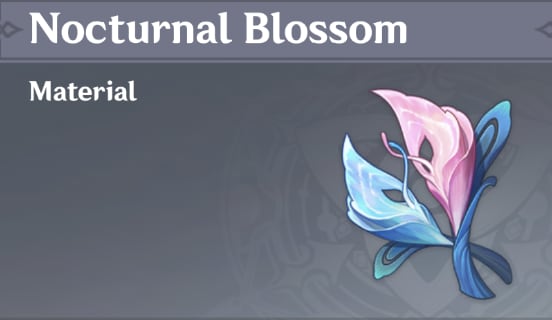 Nocturnal Blossom