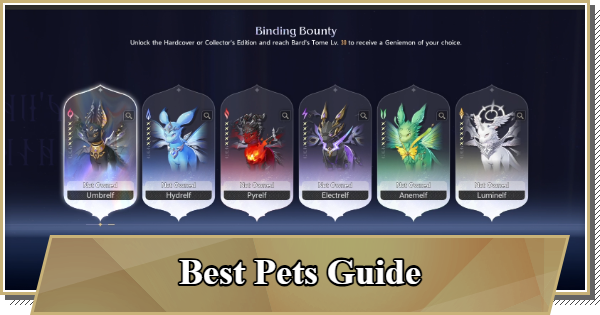 Duet Night Abyss (DNA) - Best Pets Guide