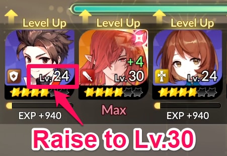 Level Hero to Lv 30