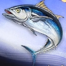 Duet Night Abyss (DNA) - Tidechaser