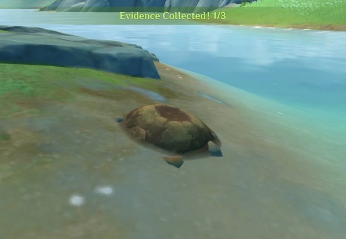 Tracing Vanishing Trails Event