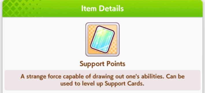 Support Points
