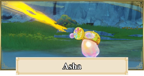 Asha Paintballs