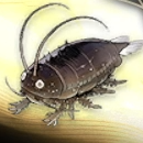 Duet Night Abyss (DNA) - Aquaroach