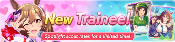 Smart Falcon Banner