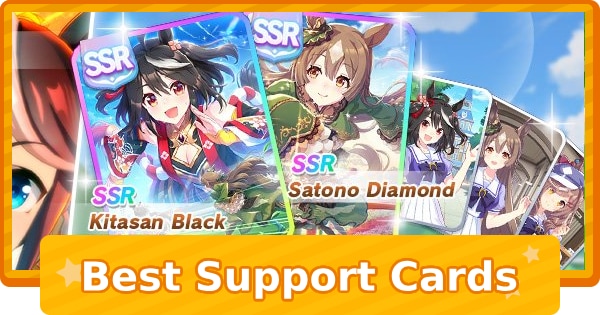 Best Support Cards