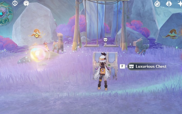 Luxurious Chest at Wavey Bay