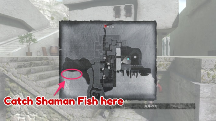 Shaman Fish