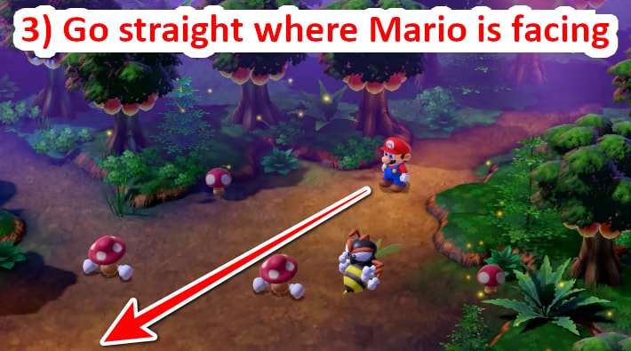 Straight ahead