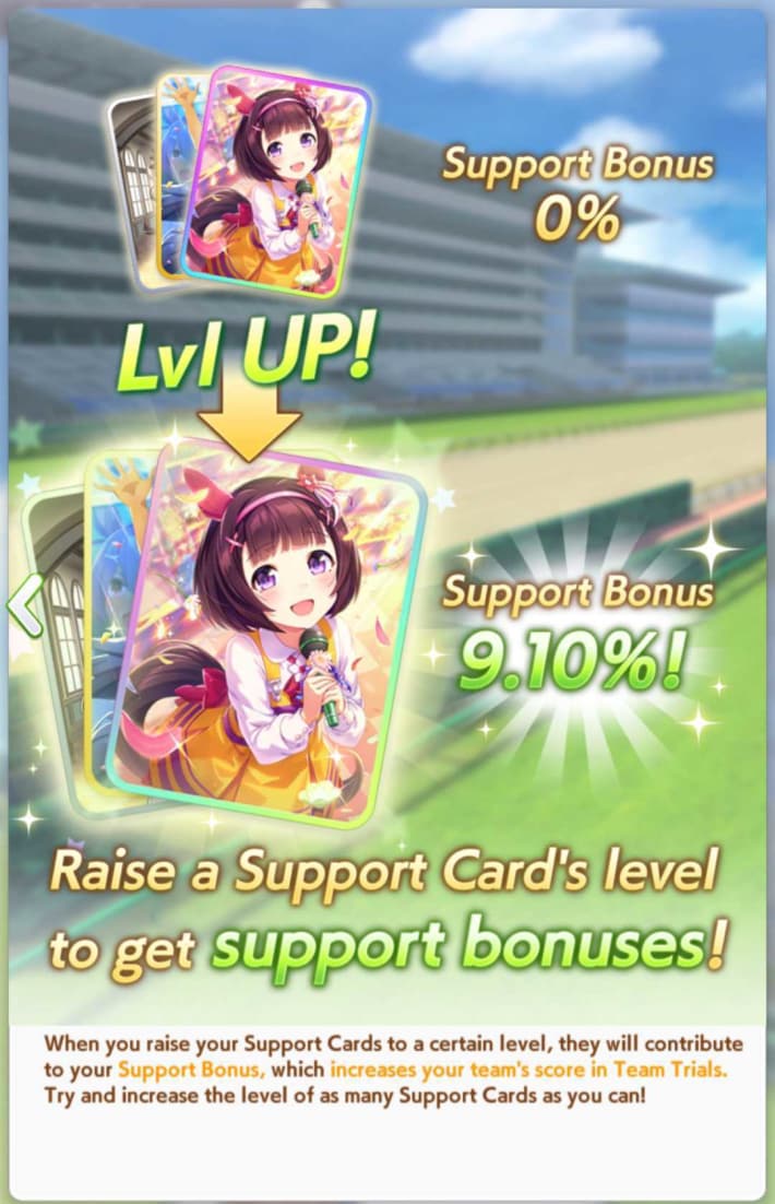 Support Bonus