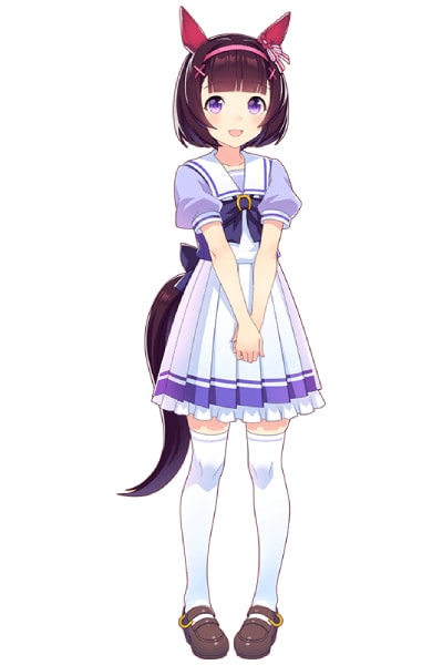 Nishino Flower