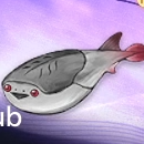 Duet Night Abyss (DNA) - Washer