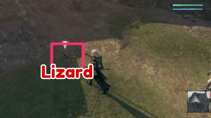 Lizard