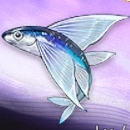 Duet Night Abyss (DNA) - Seaskimmer